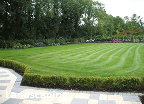 Landscaping