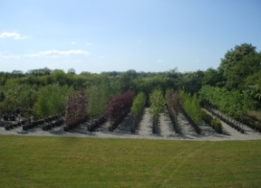 Our Nursery