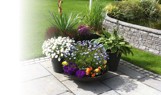 Visit us at Bloom June 2012